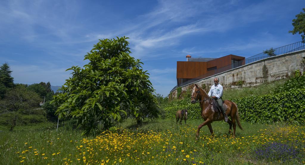 Holiday home Quinta Do Fontelo Vouzela