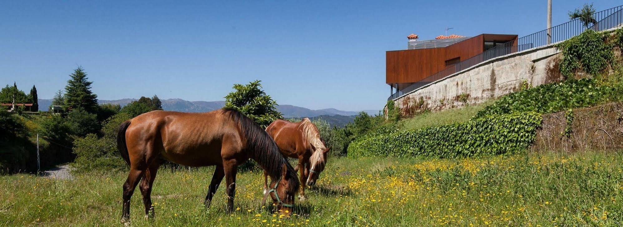 Holiday home Quinta Do Fontelo Vouzela