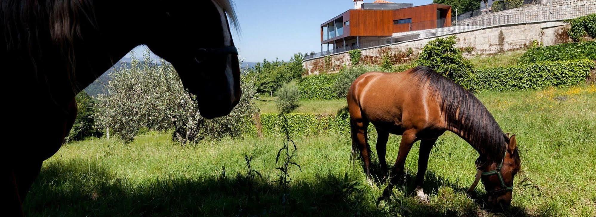 Quinta Do Fontelo Holiday home *